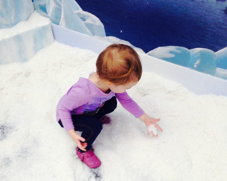 Santa’s Frozen Ice Palace