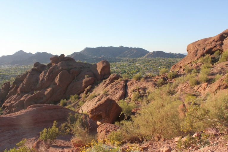 Where to Stay and What to Do in Phoenix