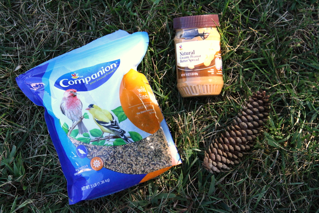 Birdfeeder Supplies