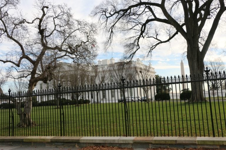 What to Do in Washington D.C. with Kids