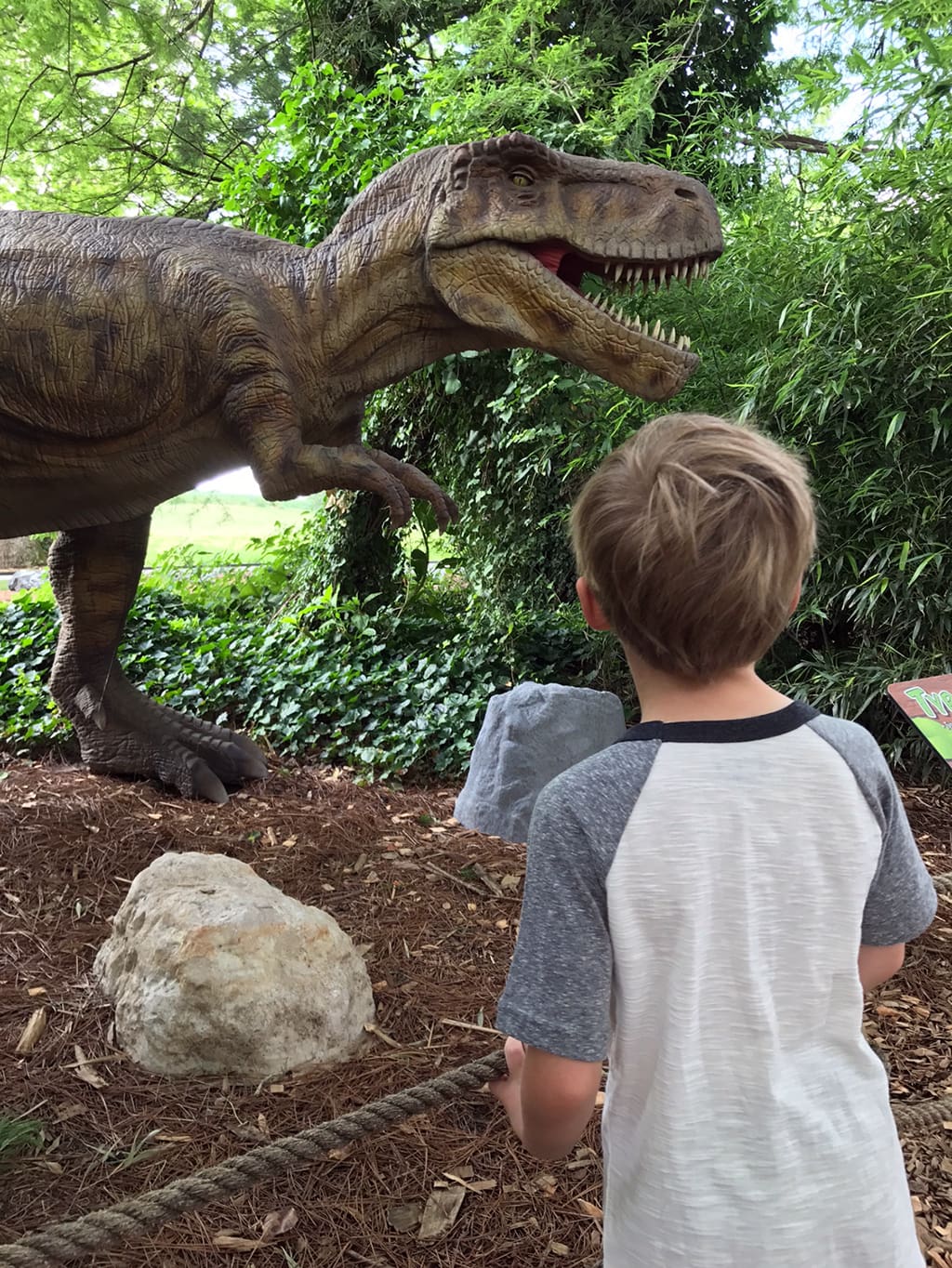 Trex