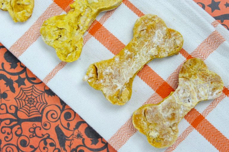 Easy Apple Pumpkin Dog Biscuits Recipe